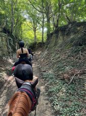 Punto di interesse Saint-Hubert - Canyon de Saint-Hubert - Photo 3