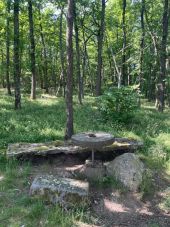 Point d'intérêt Cordelle - Lieu de pique-nique  - Photo 1