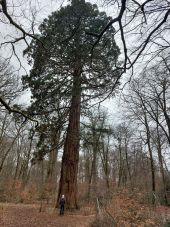 Punto de interés Fontainebleau - Unnamed POI - Photo 1