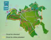 Point d'intérêt Saint-Forgeux-Lespinasse - Carte de la forêt - Photo 1