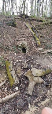 Punto de interés Flavignerot - Fontaine-de-la-Mialle - Photo 2