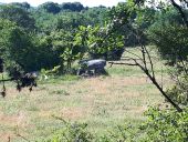 POI Loubressac - Dolmen - Photo 3