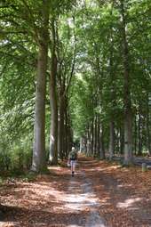 Point of interest Manage - GG-Ht-07-2_Parc de Mariemont - Photo 1