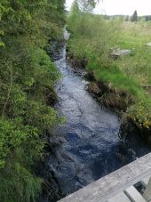 Point d'intérêt Butgenbach - petite rur - Photo 2