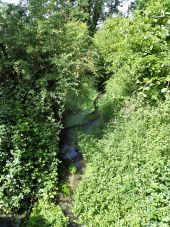 Punto de interés Genappe - Ry d'Ondeuse à proximité du pont de la Haute Dyle - Photo 1