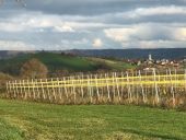Point d'intérêt Plombières - Vignes de Merckhof - Photo 3