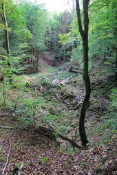 POI Virton - Carrière et grotte du Châtelet - Photo 11