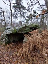 Point d'intérêt Fontainebleau - 9E U - Abri d'Agar - Photo 1