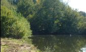 Point d'intérêt Écromagny - sur les berges de l'étang - Photo 1