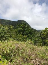 Point d'intérêt Vieux-Habitants - trois crêtes - Photo 1