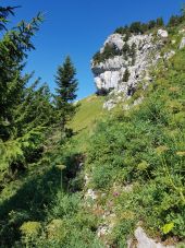 Point d'intérêt Saint-Pierre-d'Entremont - Point 3 - Photo 1