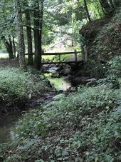 Punto di interesse Pleudihen-sur-Rance - Ruisseau de l'étang de la Chesnaye - Photo 1