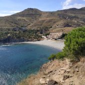 Point d'intérêt Banyuls-sur-Mer - anse Peyrefitte - Photo 1