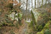 POI Bertrix - Sentier vers Mortehan - Photo 1