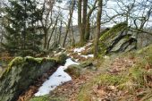 Point d'intérêt Bertrix - Les crêtes - Photo 1