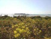 Point d'intérêt Locmariaquer - Raid du Golfe du Morbihan - Photo 2