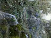 Point d'intérêt La Roquebrussanne - Source des Auris - Photo 1