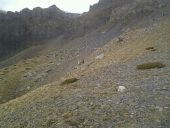 Point d'intérêt Péone - Vue sur petit troupeau de chamois - Photo 1