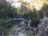 Punto de interés Marsella - Passage de l'arbre couché - Photo 1