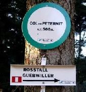 Point d'intérêt Rimbach-près-Guebwiller - Col de Peternic - Photo 1