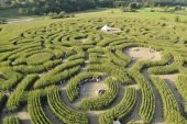 Point d'intérêt Durbuy - Le parc des Labyrinthes de Barvaux - Photo 3