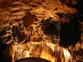 Point d'intérêt Hotton - Les Grottes de Hotton - Photo 1
