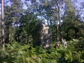 Punto de interés Fontainebleau - Point 2 - Photo 1