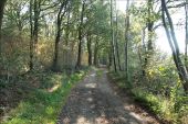 POI Blieberg - 1 - La forêt ... naturellement - Photo 2