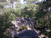 Punto de interés Fontainebleau - Rocher des Princes - Photo 1