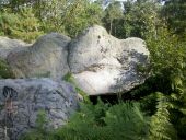 Point d'intérêt Fontainebleau - Abri orné N.O. Mont Aiveu - Photo 1
