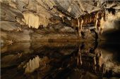 Point d'intérêt Rochefort - Domaine des Grottes de Han - Photo 1