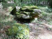 Point d'intérêt Saint-Maurice-aux-Riches-Hommes - Dolmen de Trainel (+ Grand Dolmen de Trainel) - Photo 3