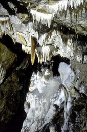 Punto de interés Rochefort - Cave of Lorette-Rochefort - Photo 3