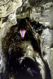 Punto de interés Rochefort - Cave of Lorette-Rochefort - Photo 2