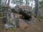 Point d'intérêt Fontainebleau - Rocher 2 - Photo 1