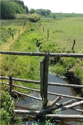 Punto di interesse Vaux-sur-Sûre - 1 – Des clôtures pour les rivières - Photo 1