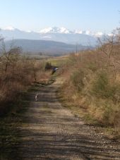 Point d'intérêt Roumengoux - Chemin à Roumengoux - Photo 1