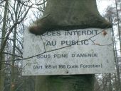 Point d'intérêt Marche-en-Famenne - RB-Lu-04-POI_Bois du Sarteau - Photo 1