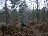 Point of interest Fontainebleau - Marion des Roches - Photo 1