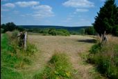 Punto de interés Büllingen - 1 - Relais pour faune et flore - Photo 1