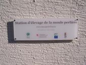 Point d'intérêt Clervaux - Station d'élevage de la moule perlière - Photo 1