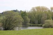 Punto de interés Wincrange - Les étangs de Weiler - Photo 1