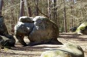 Point d'intérêt Fontainebleau - Le rocher de l'Elephant - Photo 1