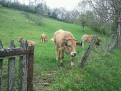 Punto de interés Saint-Chély-d'Aubrac - Point 1vv - Photo 1