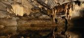 Point d'intérêt Rochefort - Grotte de Han - Photo 1