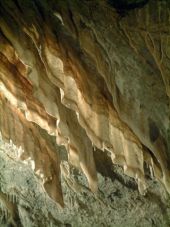 Point d'intérêt Rochefort - Grotte de Han - Photo 3