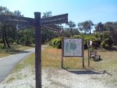 Point d'intérêt Lacanau - Carrefour des Gourbets - Photo 1