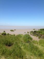 Punto de interés Saint-Fort-sur-Gironde - Point 3 - Photo 1