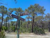 Point d'intérêt Lacanau - Carrefour du Royannais - Photo 1