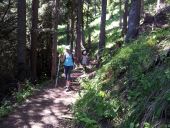 Point of interest Pralognan-la-Vanoise - Sentier sous le couvert forestier - Photo 1